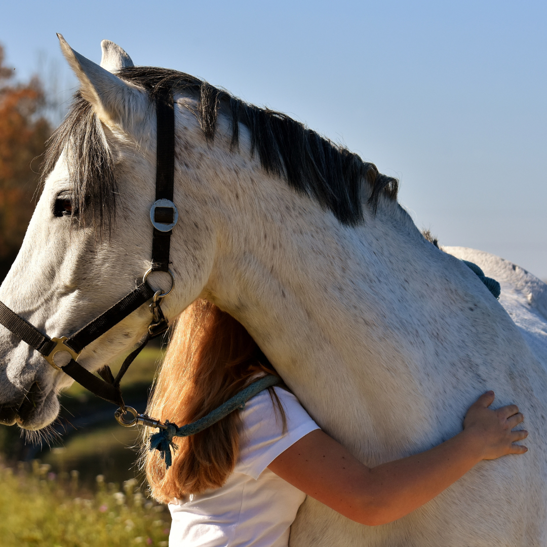 Frau mit Pferd und Sattel